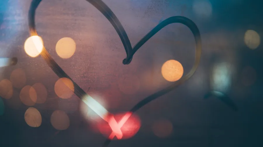 Book Review - Loving Bravely: 20 Lessons of Self-Discovery to Help You Get the Love You Want